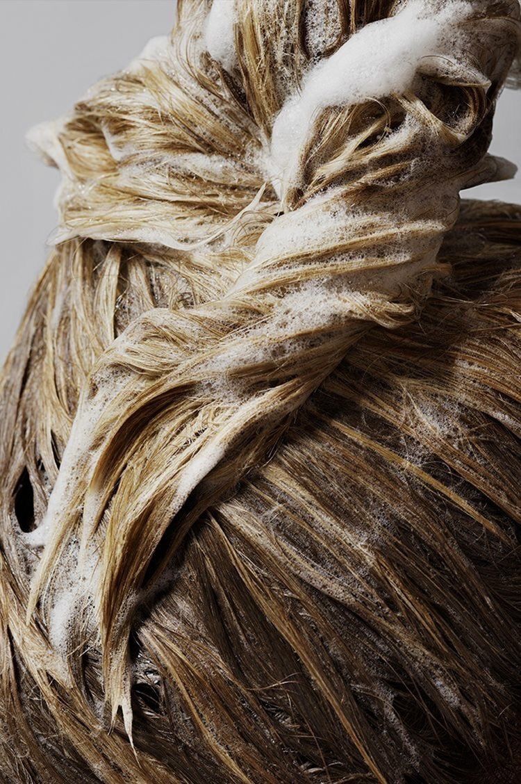 fa8a37b9f9b6cc97cb58999f25fc7b65.jpg__PID:ac80495e-66ca-492f-856f-dd489a990501